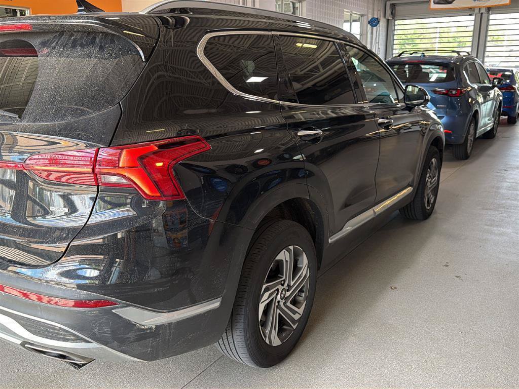 hyundai santa fe 2023 5NMS3DAJ0PH601448 image hyundai santa fe 2023 5NMS3DAJ0PH601448 image